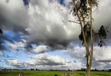 利物浦客场奏凯，安菲尔德的欧冠之夜愈发光明