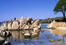 乌迪内斯客场平局，联赛形势略显恶化