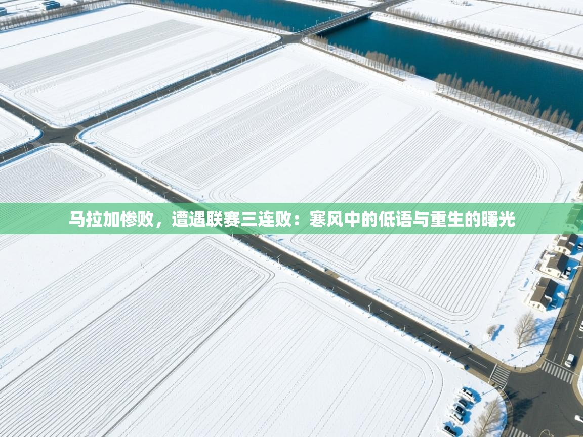 马拉加惨败，遭遇联赛三连败：寒风中的低语与重生的曙光  第1张