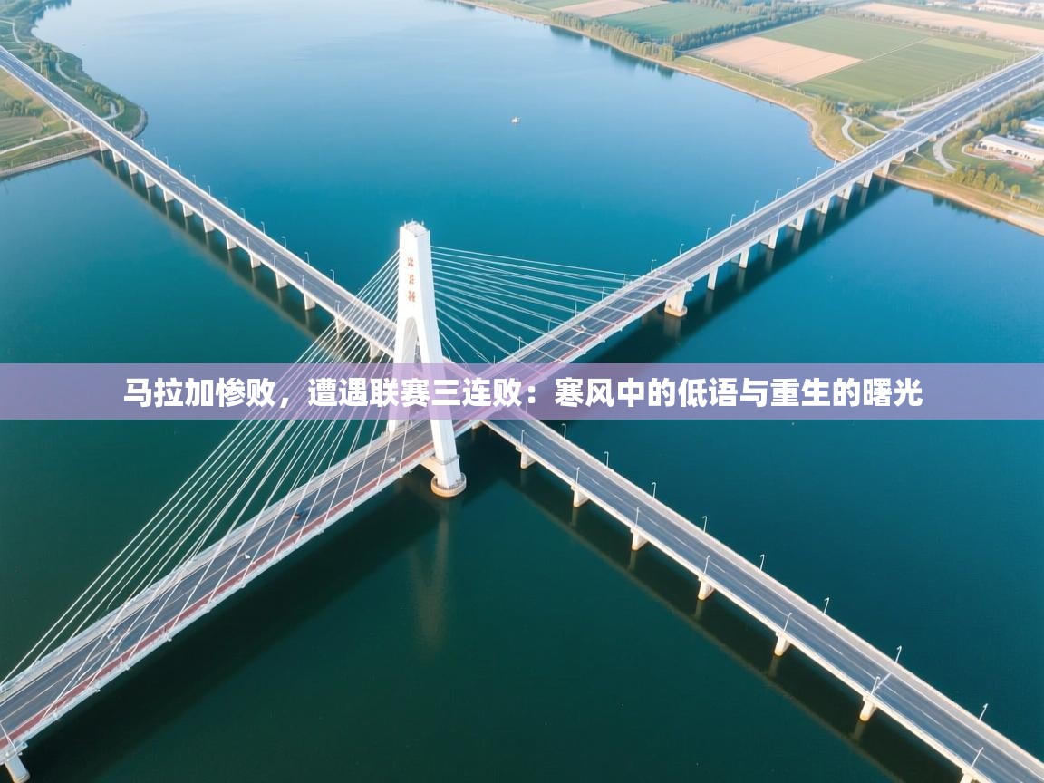 马拉加惨败，遭遇联赛三连败：寒风中的低语与重生的曙光  第2张