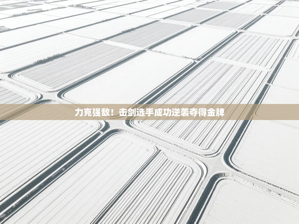 力克强敌!击剑选手成功逆袭夺得金牌 第1张