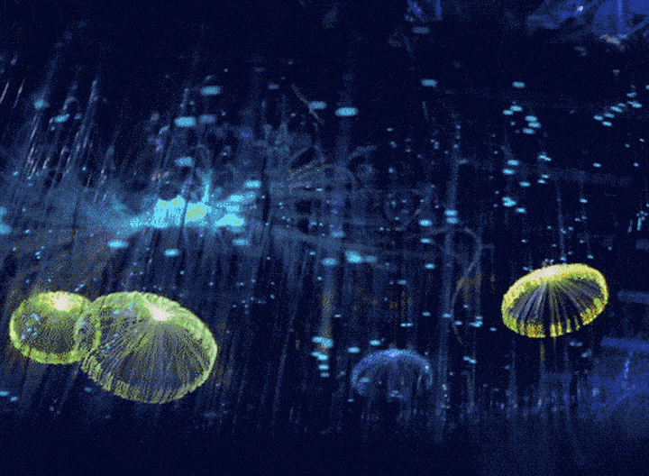 包含梦幻瞬间:欧洲锦标赛带来的惊喜表现的词条 包含梦幻瞬间:欧洲锦标赛带来的惊喜表现的词条