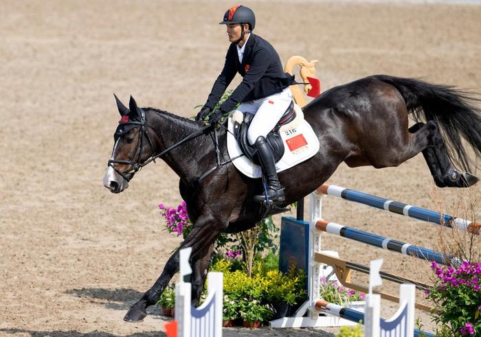 爱游戏体育平台-朗伯赫斯队在马术比赛中问鼎冠军