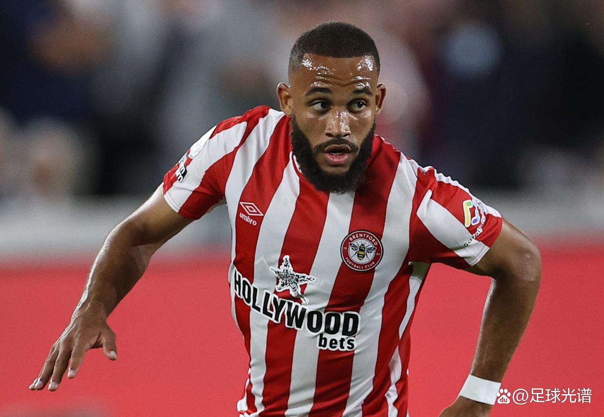 爱游戏登录入口-包含布伦特福德主场惨败士麦，英超保级前景黯淡的词条